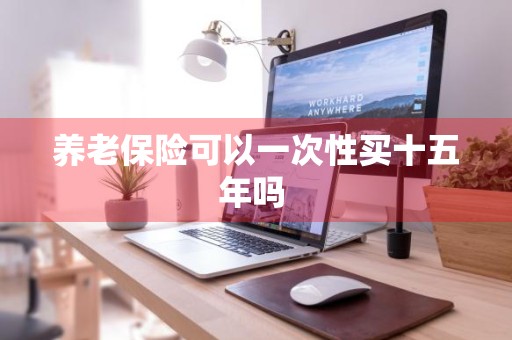 养老保险可以一次性买十五年吗 