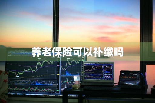 养老保险可以补缴吗