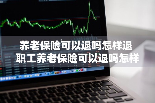 养老保险可以退吗怎样退 职工养老保险可以退吗怎样退