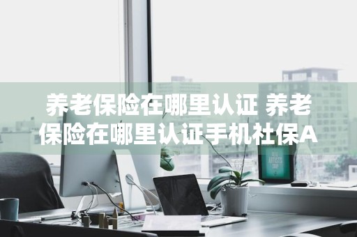 养老保险在哪里认证 养老保险在哪里认证手机社保APP