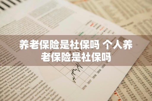 养老保险是社保吗 个人养老保险是社保吗
