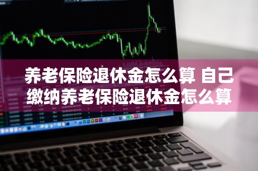 养老保险退休金怎么算 自己缴纳养老保险退休金怎么算