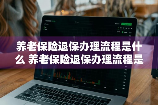 养老保险退保办理流程是什么 养老保险退保办理流程是什么意思