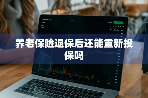 养老保险退保后还能重新投保吗
