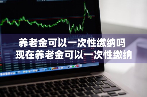 养老金可以一次性缴纳吗 现在养老金可以一次性缴纳吗
