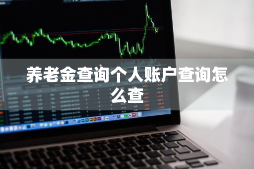 养老金查询个人账户查询怎么查