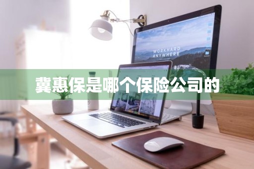 冀惠保是哪个保险公司的