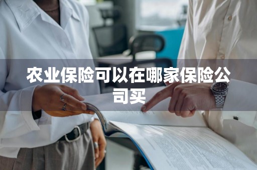 农业保险可以在哪家保险公司买