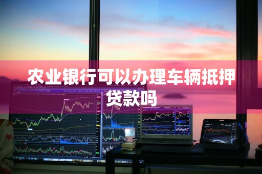 农业银行可以办理车辆抵押贷款吗