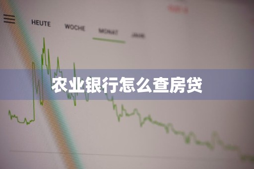 农业银行怎么查房贷