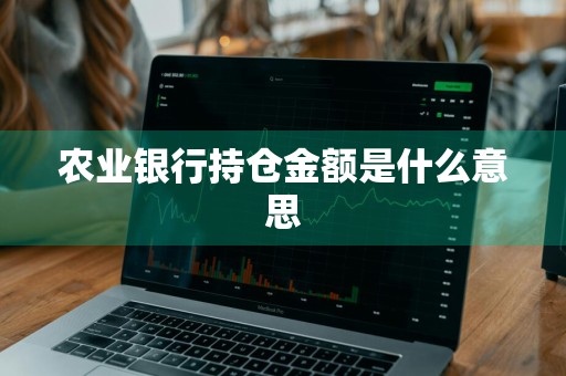 农业银行持仓金额是什么意思