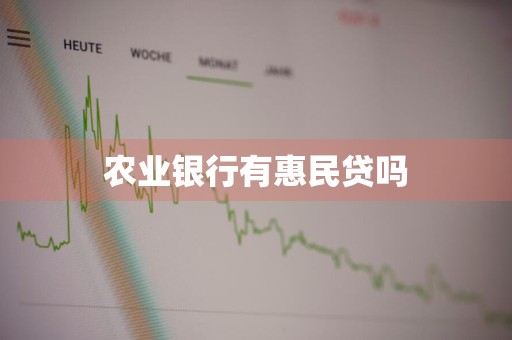 农业银行有惠民贷吗