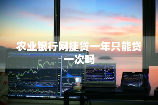 农业银行网捷贷一年只能贷一次吗