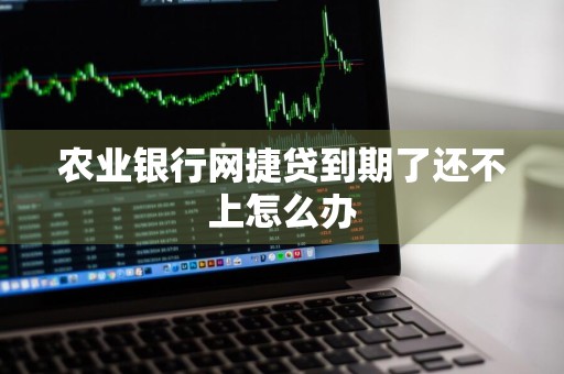 农业银行网捷贷到期了还不上怎么办