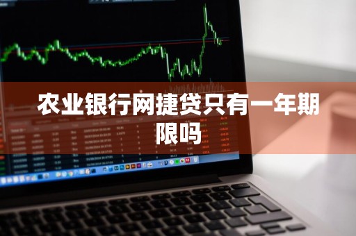 农业银行网捷贷只有一年期限吗