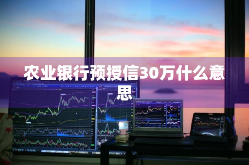 农业银行预授信30万什么意思