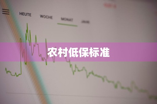 农村低保标准