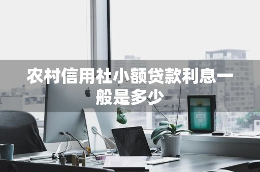 农村信用社小额贷款利息一般是多少