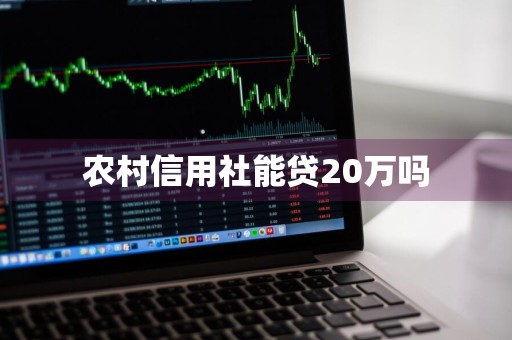 农村信用社能贷20万吗