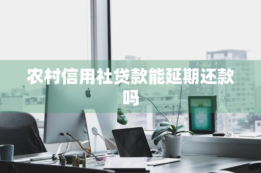 农村信用社贷款能延期还款吗