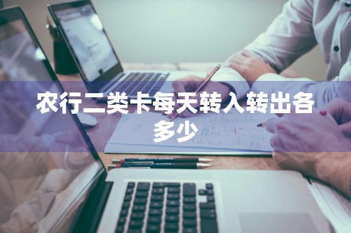 农行二类卡每天转入转出各多少