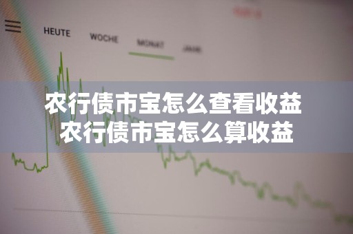 农行债市宝怎么查看收益 农行债市宝怎么算收益