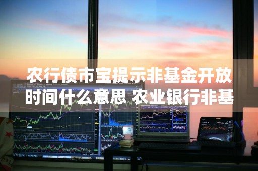 农行债市宝提示非基金开放时间什么意思 农业银行非基金开放时间