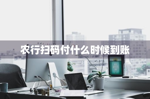 农行扫码付什么时候到账