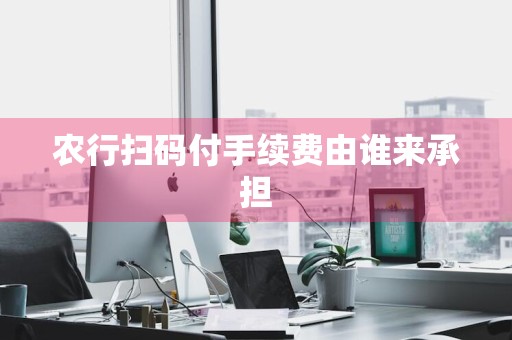 农行扫码付手续费由谁来承担