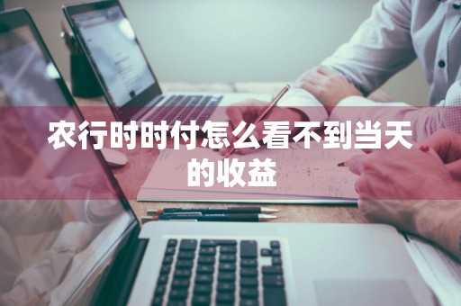 农行时时付怎么看不到当天的收益