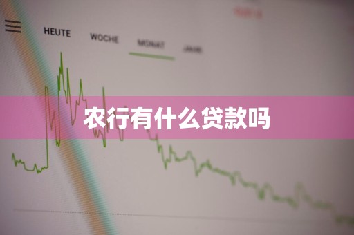 农行有什么贷款吗