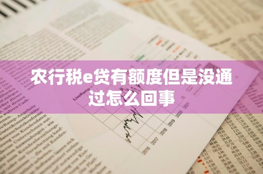 农行税e贷有额度但是没通过怎么回事