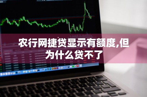 农行网捷贷显示有额度,但为什么贷不了