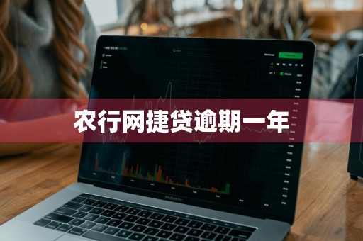 农行网捷贷逾期一年