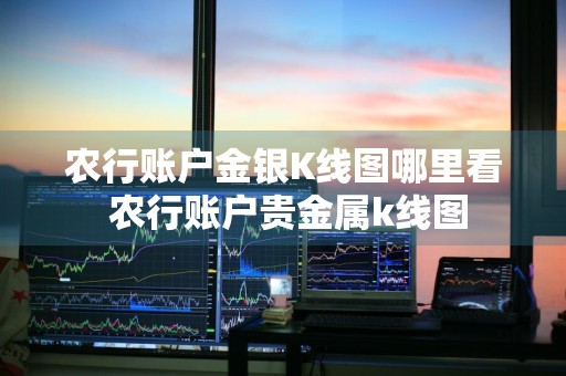 农行账户金银K线图哪里看 农行账户贵金属k线图