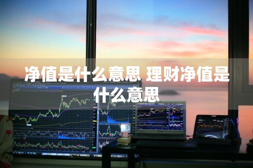 净值是什么意思 理财净值是什么意思