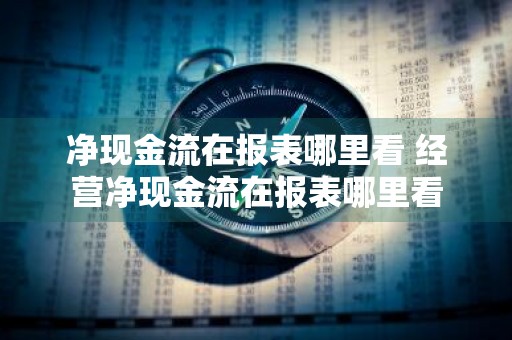 净现金流在报表哪里看 经营净现金流在报表哪里看