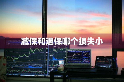 减保和退保哪个损失小
