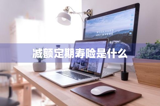 减额定期寿险是什么