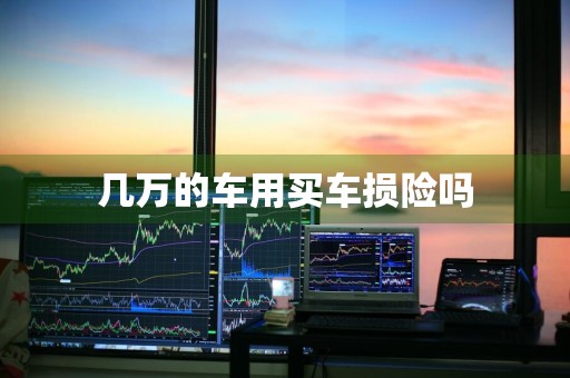 几万的车用买车损险吗