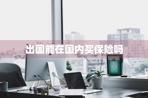 出国能在国内买保险吗
