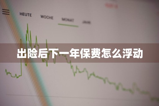 出险后下一年保费怎么浮动