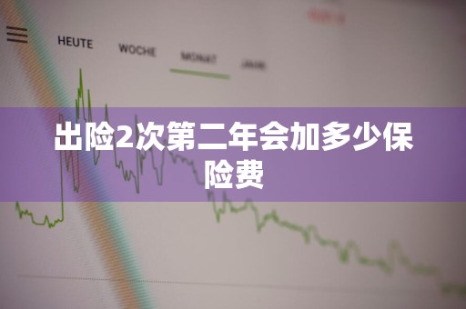 出险2次第二年会加多少保险费