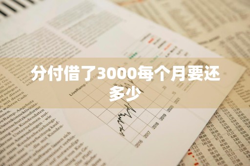 分付借了3000每个月要还多少