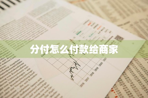 分付怎么付款给商家