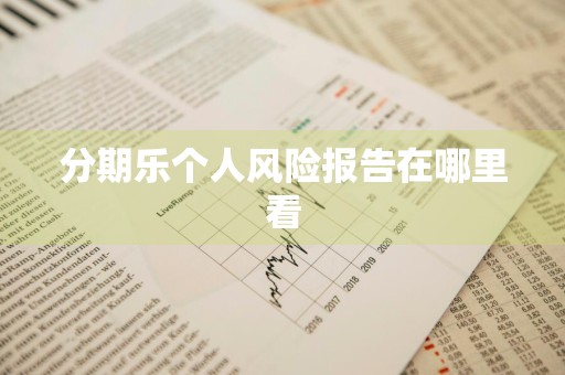 分期乐个人风险报告在哪里看