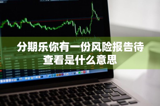分期乐你有一份风险报告待查看是什么意思