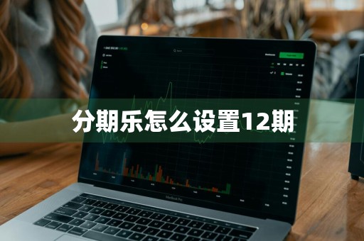 分期乐怎么设置12期