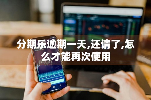 分期乐逾期一天,还请了,怎么才能再次使用