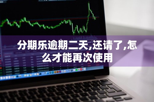 分期乐逾期二天,还请了,怎么才能再次使用